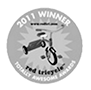 2011 Winner - Tinybeans Website